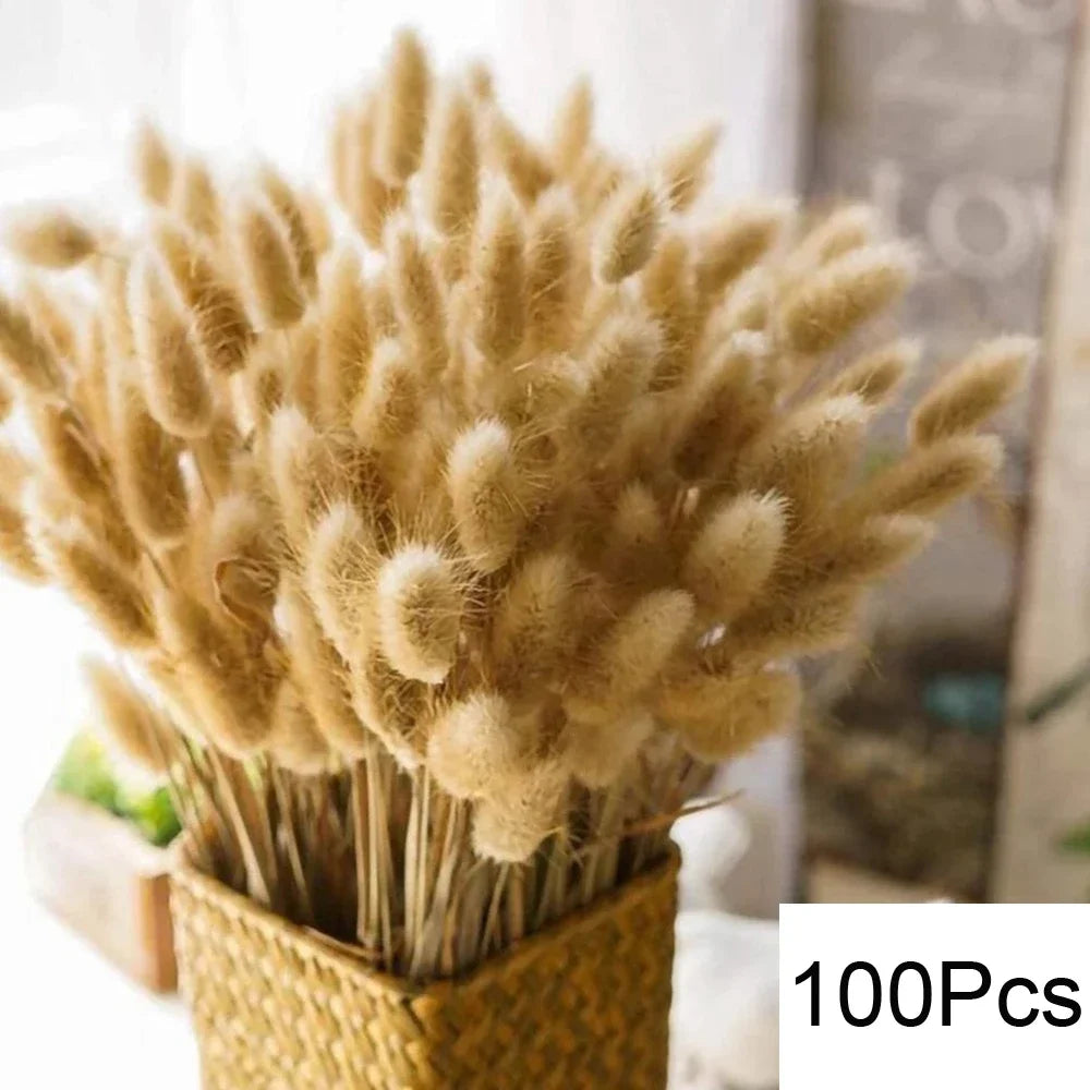 BohoBloom Pampas Bouquet  IZER 