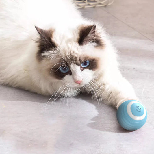 Smart LED Rolling Cat Toy Ball  IZER 