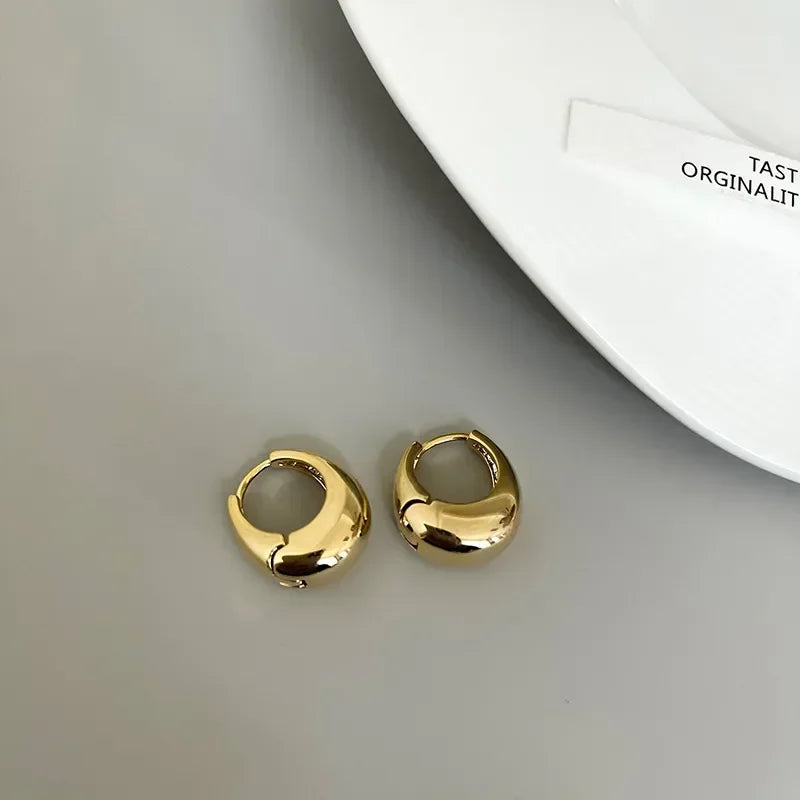 Timeless Elegance: Classic Small Hoop Earrings  IZER 